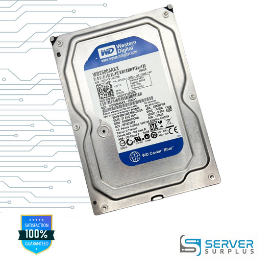 WD Caviar Blue 250GB SATA 7200 RPM 3.5 in Enterprise HDD | WD2500AAKX