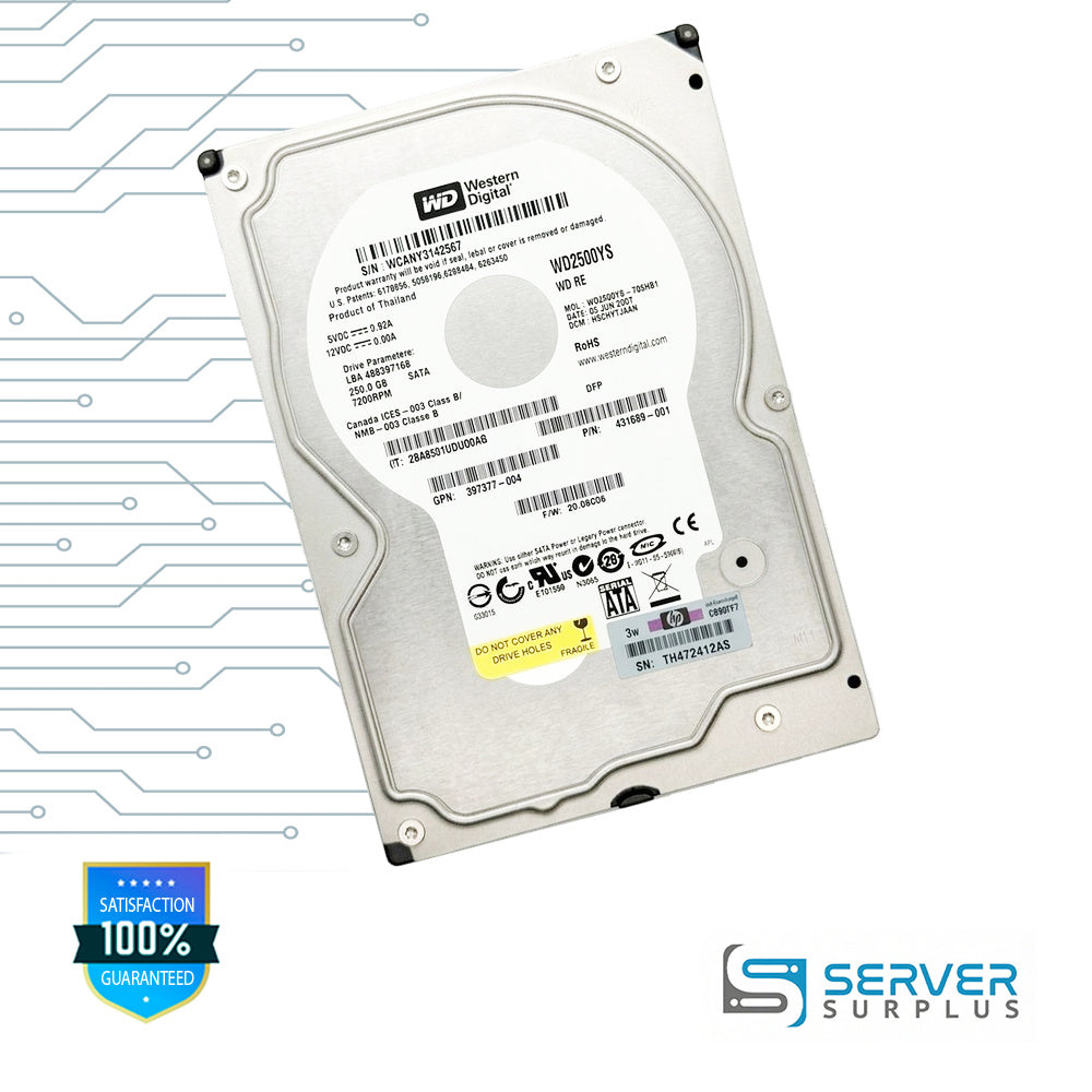HP RE 250GB SATA 7.2K 3.5 in Enterprise HDD | 431689-001 | WD2500YS