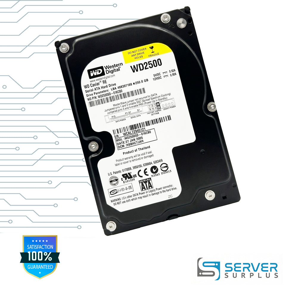 WD Caviar RE 250GB SATA 3.5 in Enterprise HDD | WD2500SD-01KCB0